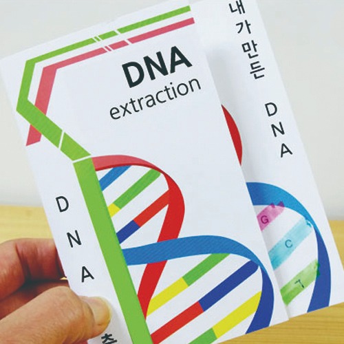 DNA추출법/동물세포(10인 세트)