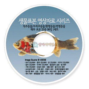 척추/무척추동물,환영동물,편형동물 해부표본(25종 CD)