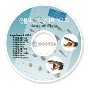 비교 표본(10종 CD)