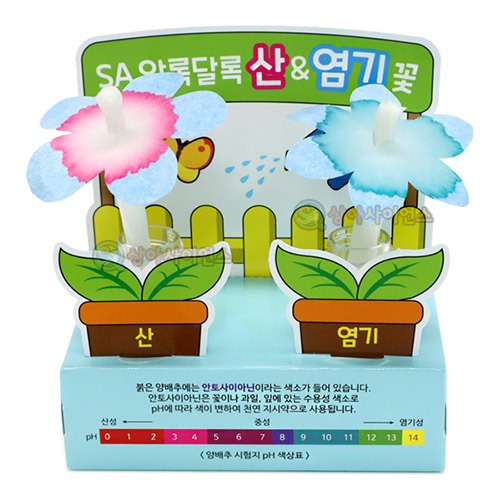 SA 알록달록 산염기꽃(어린이 보호 용기포장)(1인용 포장)