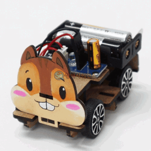 SA 다람쥐 전기충전 자동차(1인용 포장)